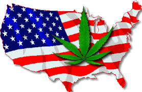 US pot.jpg US pot.jpg